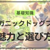 愛犬の健康を守る！オーガニックドッグフードの魅力と最適な選び方