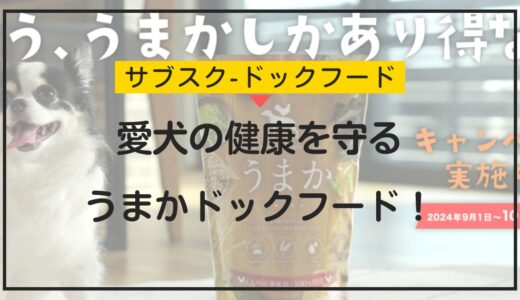 愛犬の健康を守るうまかドックフード！その魅力と購入方法を徹底解説