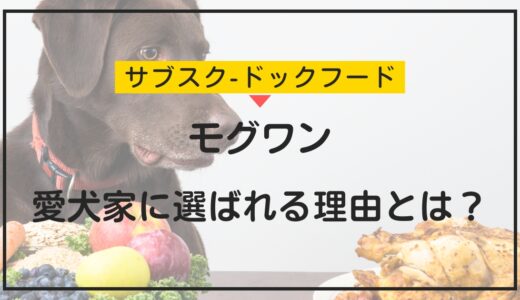 モグワンの魅力と評判を検証！愛犬家に選ばれる理由とは？