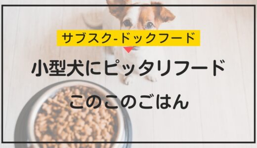 小型犬にぴったり！「このこのごはん」の特徴と口コミを徹底解説